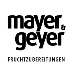 Mayer Geyer Logo